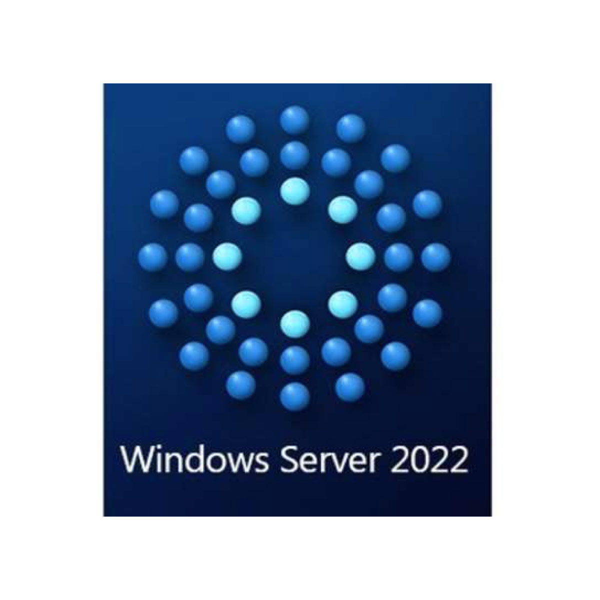Microsoft Windows Server 2022 Standard Base License With Media And Key Software Erp 8070