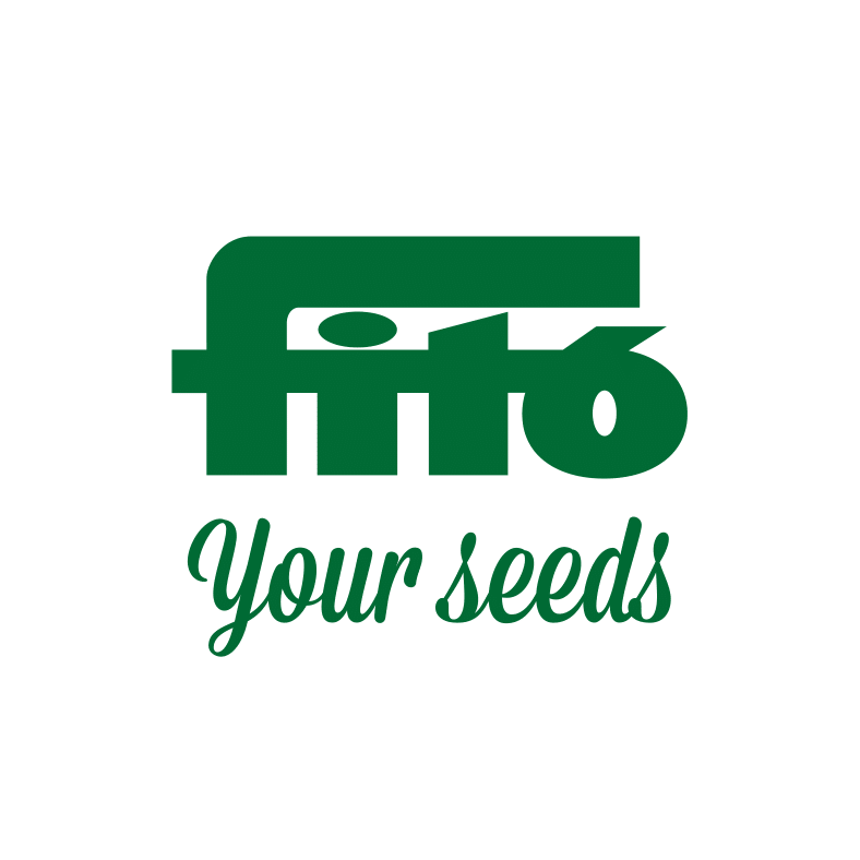 Fito yours seeds