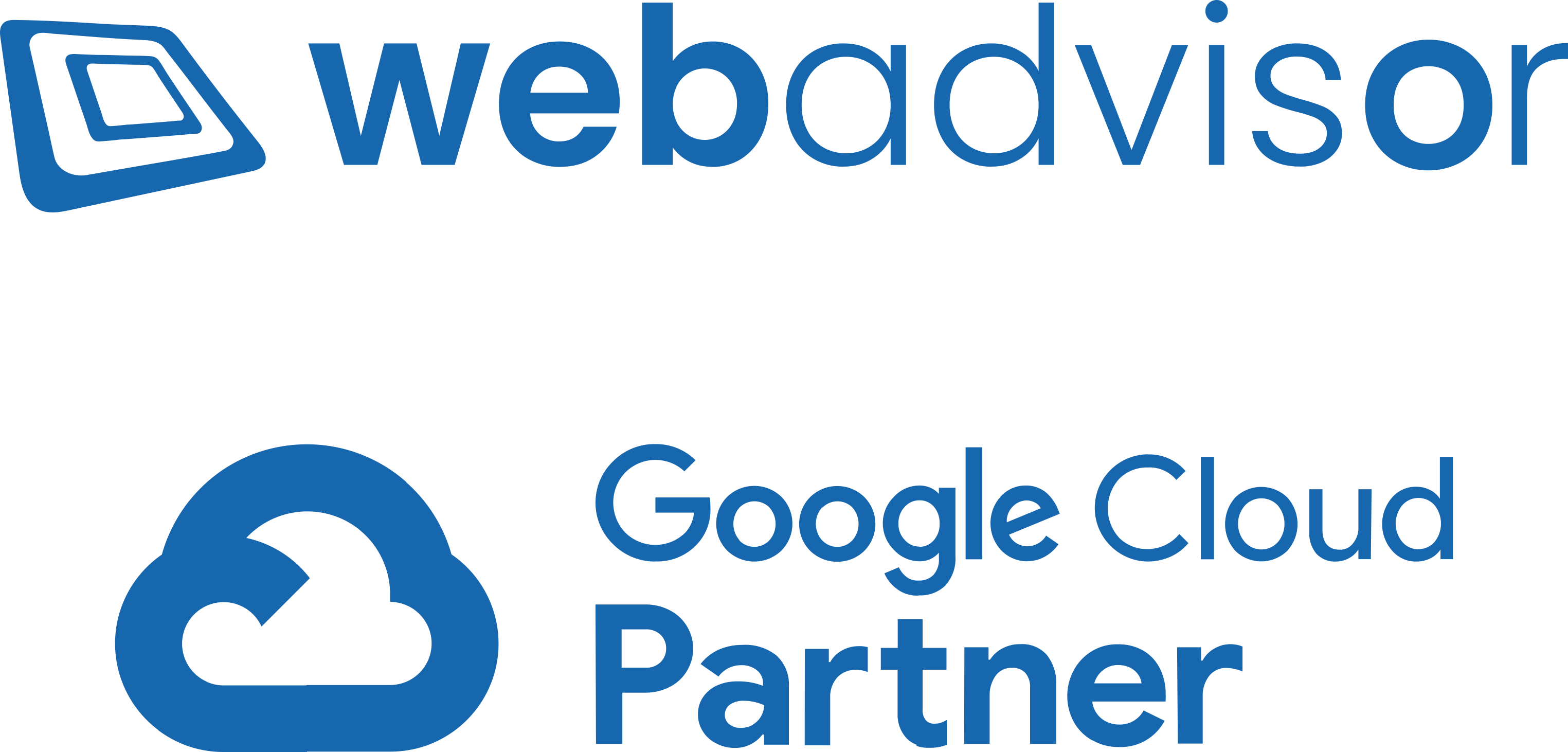 Web Advisor & Google Cloud Partner